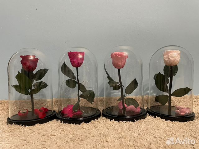 Роза в колбе 29 высота