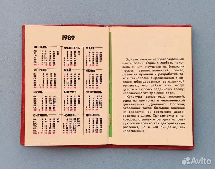 Справочник-памятка по садоводству Хризантемы 1989