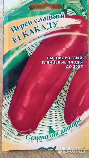 Рассада перца сладкого