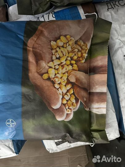 Семена кукурузы дкс 4178