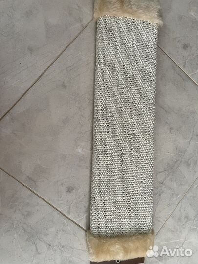 Когтеточка