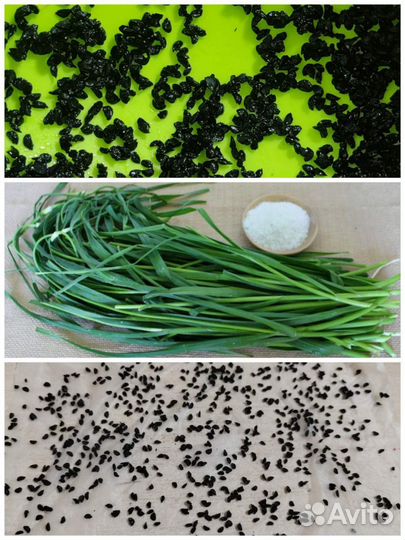 Семена зелёного чеснока (домашнего), многолетний