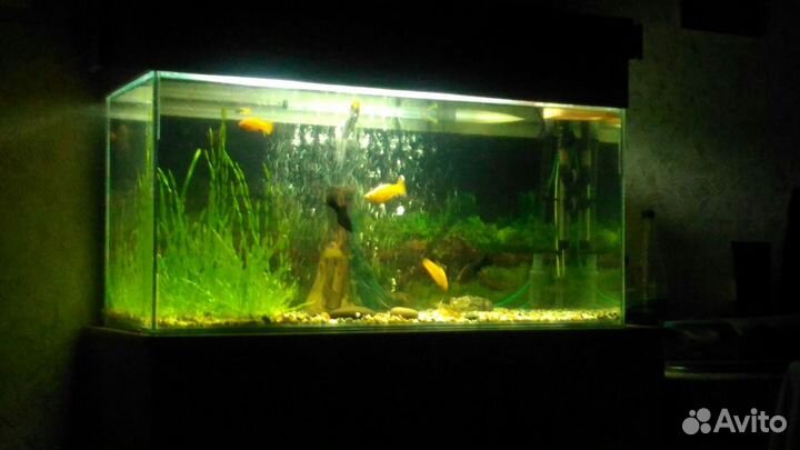 Продам аквариум