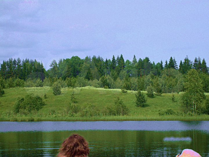 Участок 6,55 га (СНТ, ДНП)