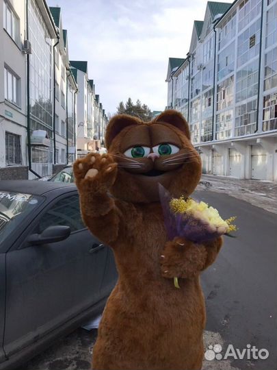 Ростовая кукла кот Гарфилд