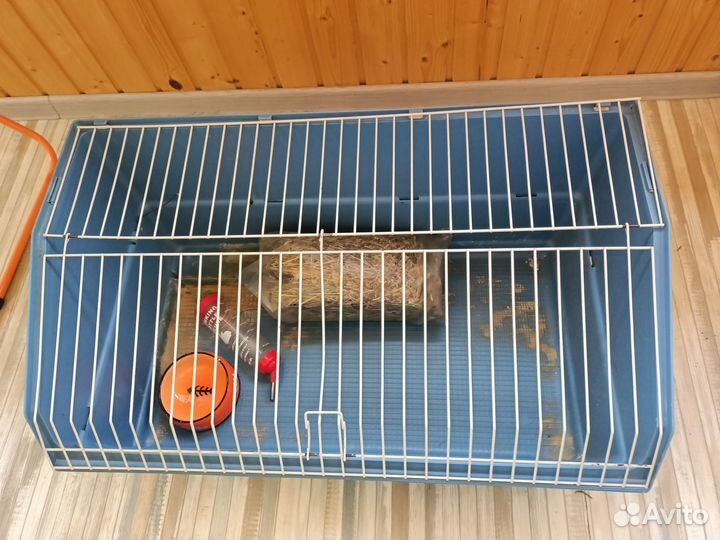 Большая клетка для морской свинки