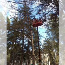 Покос травы, спил деревьев, благоустройство дворов, Парковый