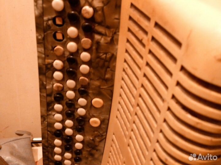 Баян weltmeister