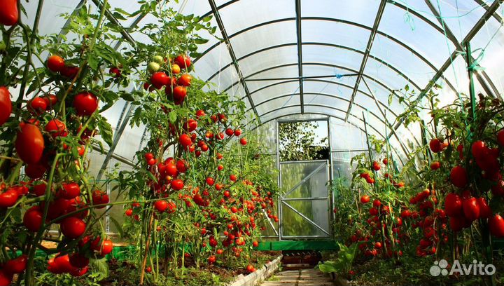 Установка теплиц