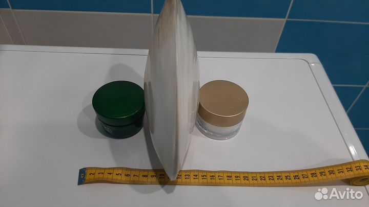 Раковина морская