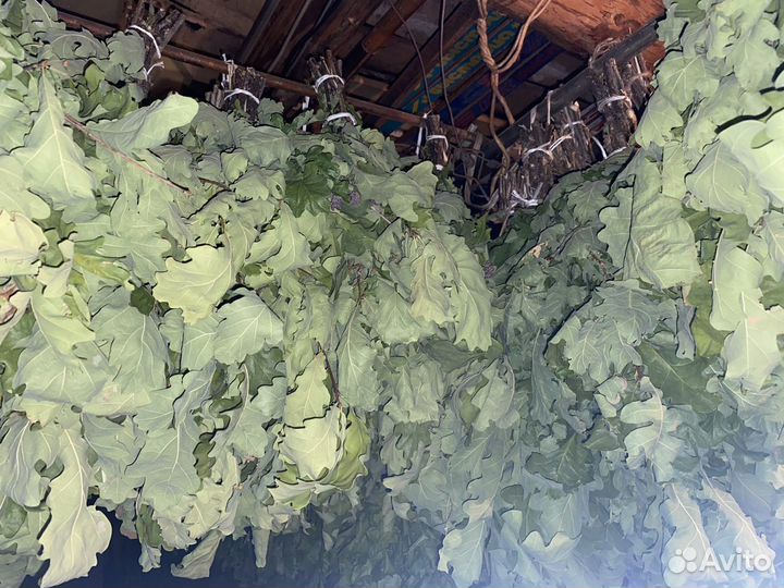 Веники банные