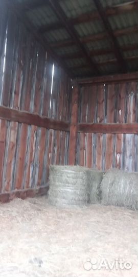 Сено в рулонах