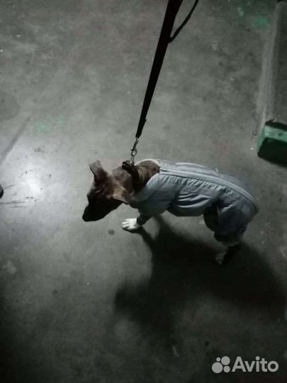 Жилетка тёплая для собаки