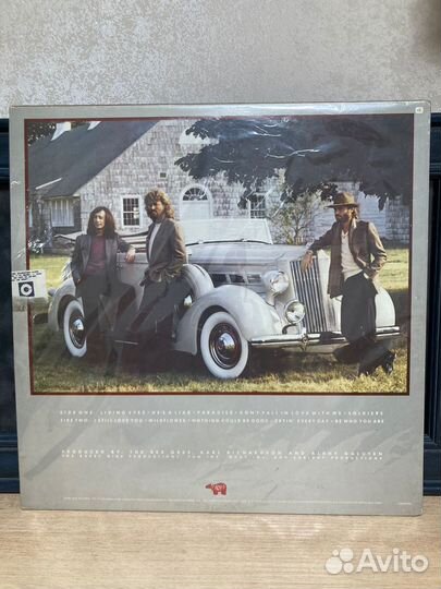 BEE gees Living Eyes