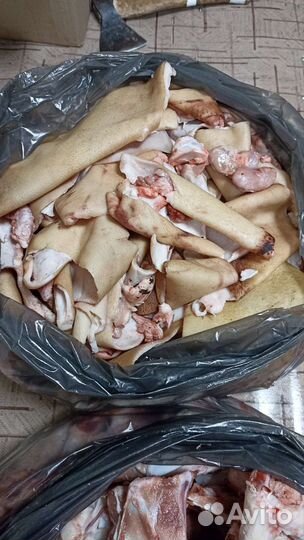 Мясо и кости для собак