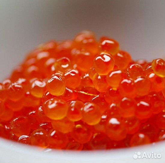Красная икра горбуши
