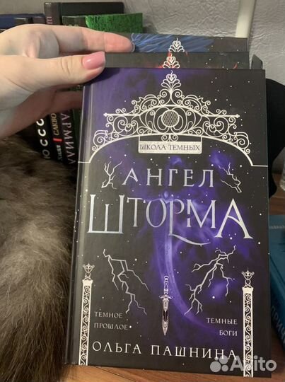 Цикл Школа темных