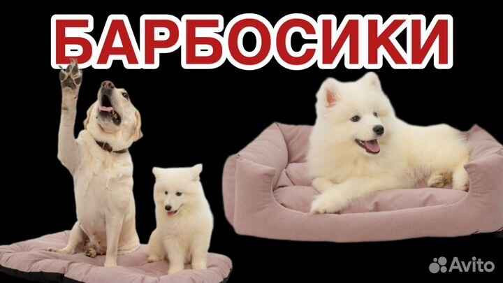 Лежанки, одежда, жилеты для дрессировки