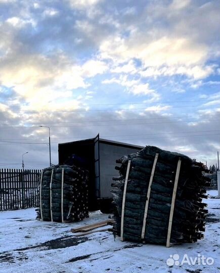 Новогодние еловые ветки лапник Нобилиса/Нордмана и