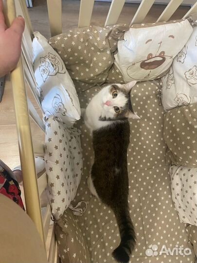 Бортики в детскую кроватку