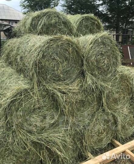 Мини рулоны