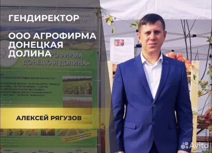 Инвестиции в развитие бизнеса