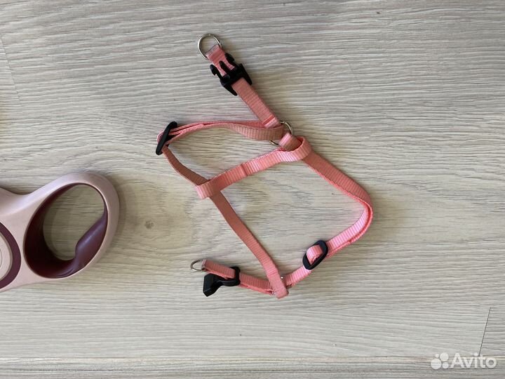 Рулетка для собак