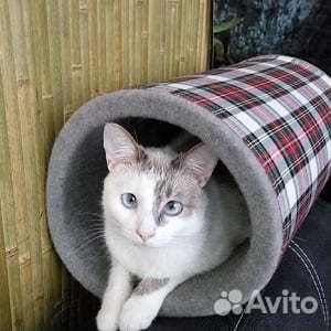 Домик для кошки 