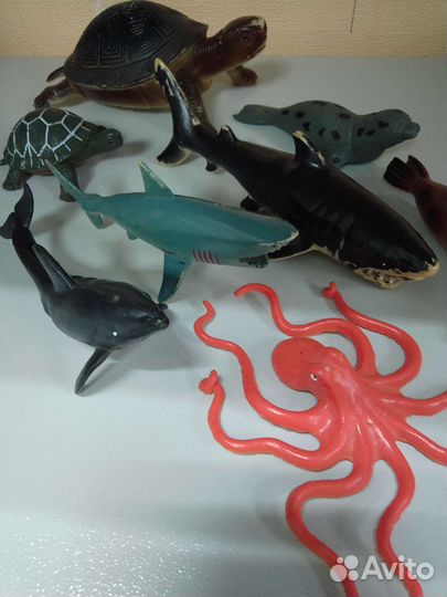 Морские животные