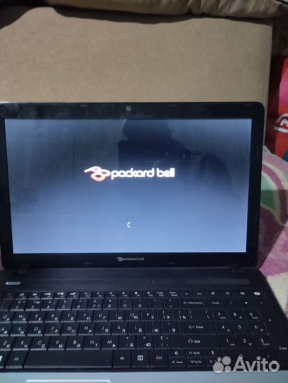 Ноутбук packard Bell