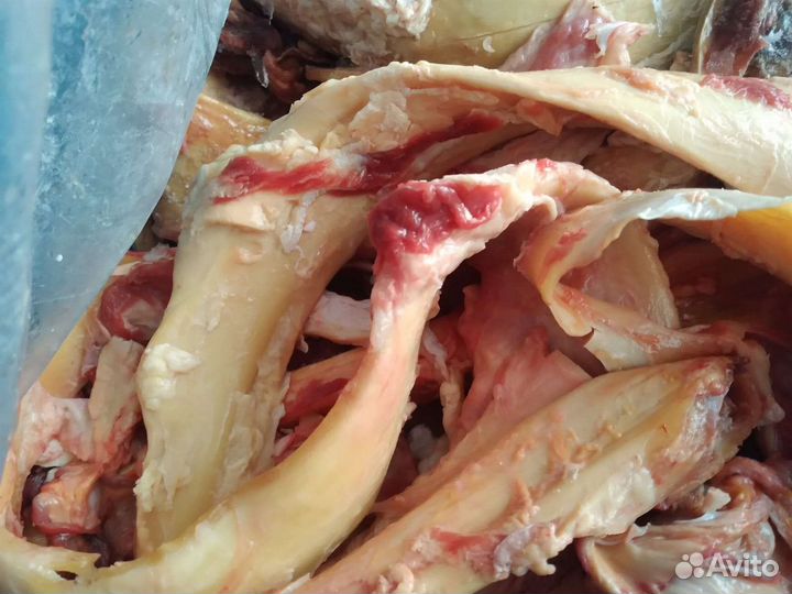 Жилка очищенная.становая.на переработку