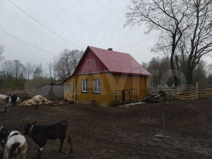 Здание, 470 м²