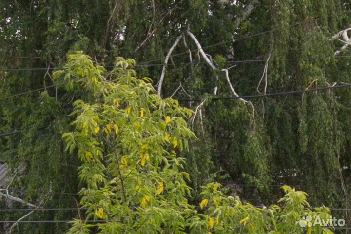 Объектив canon 18 55