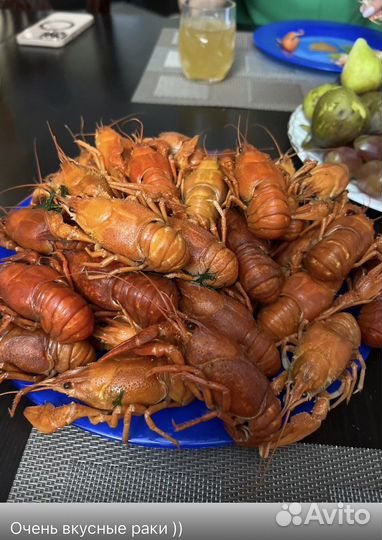 Раки всех размеров