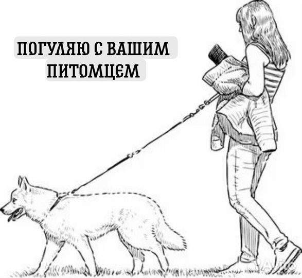 Выгул собак