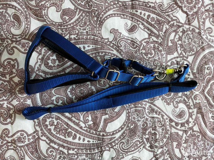 Шлейка для кошки или собаки