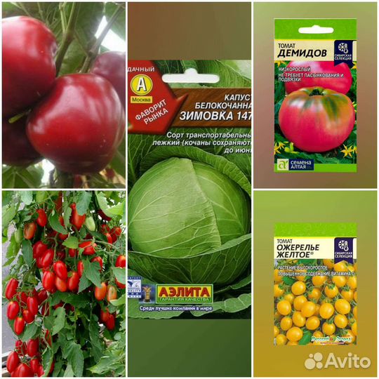 Рассада овощей,однолетних и многолетних цветов