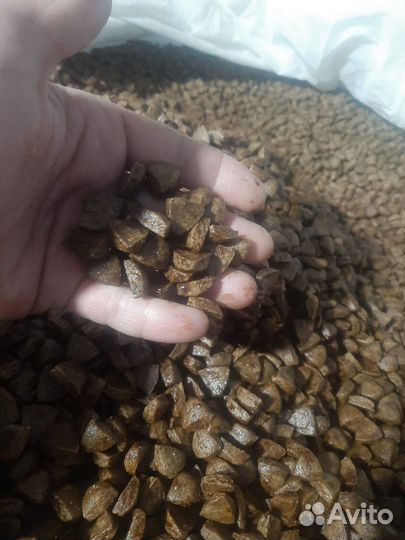 Корм для кошек и собак