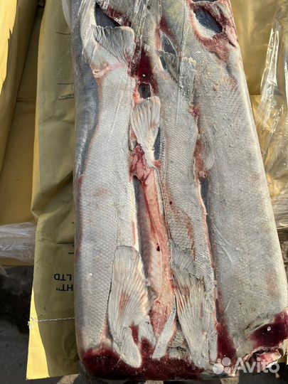 Кета свежемороженная разделанная