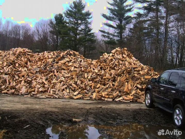 Дрова без гнили