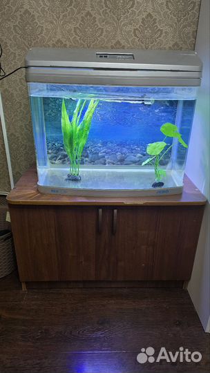Аквариум Jebo r362