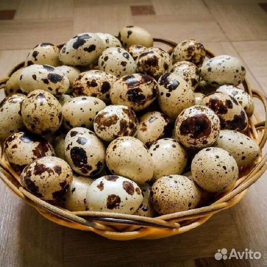 Яйцо перепелинное