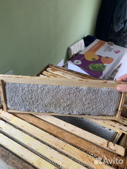 Мед гречишный