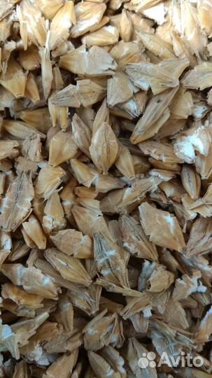 Ячмень плющеный Для Лошадей и Пони