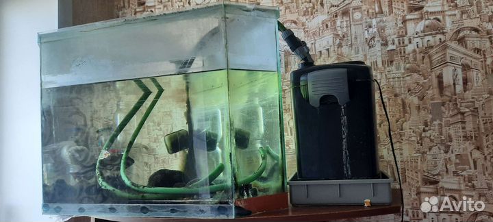 Аквариумные рыбки