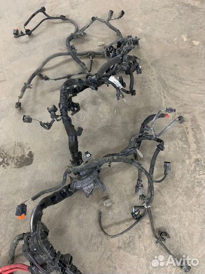 Проводка Renault Duster 2 (Hjd) 2 1.3 TCE (H5H)