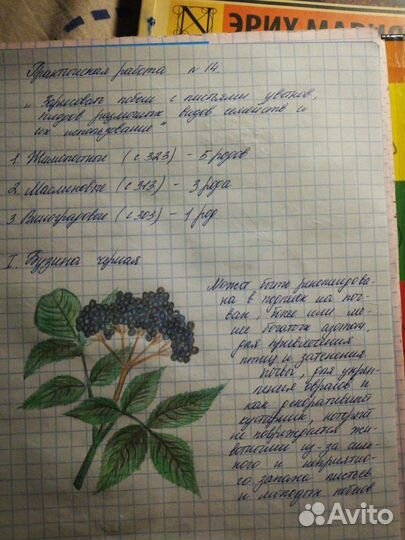 Написание конспектов, создание презентаций, доклад