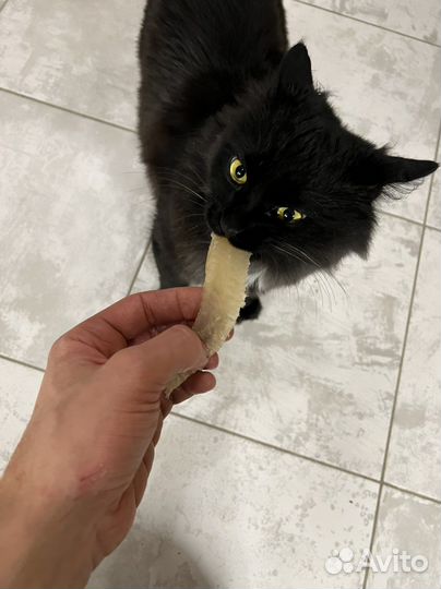 Ёрш вяленый, филе ерша