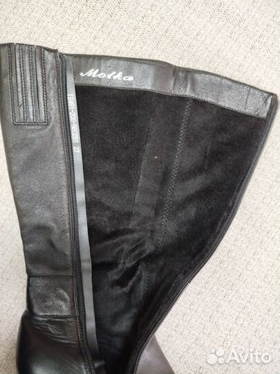 Сапоги женские демисезонные