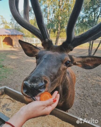 Зюраткуль тур выходного дня 13 августа